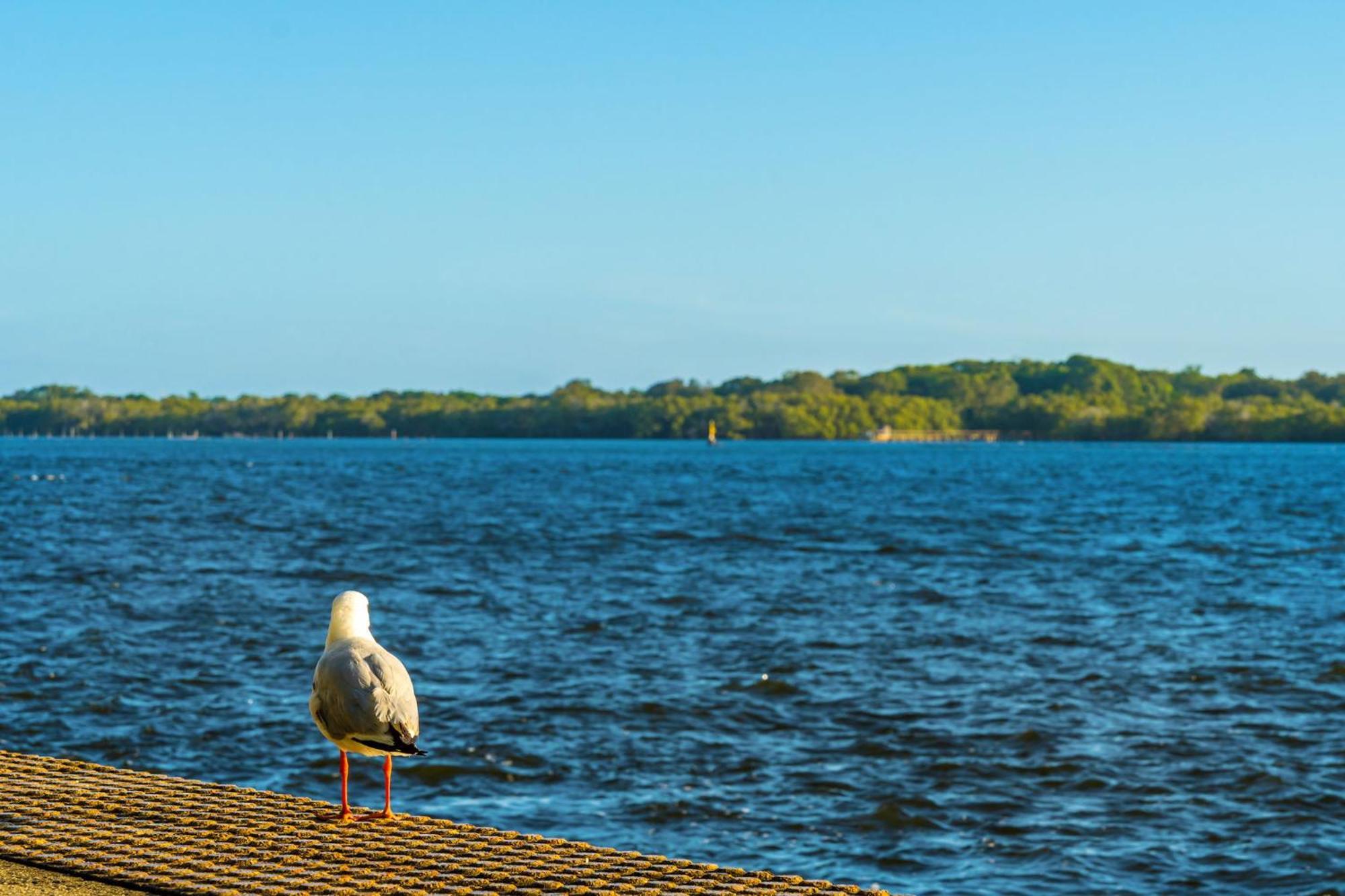 Riverside Holiday Apartments Ballina Exterior foto